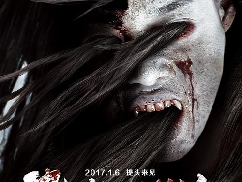 马尔代夫护照电子版哪里有卖